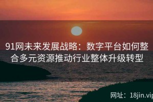 91网未来发展战略：数字平台如何整合多元资源推动行业整体升级转型