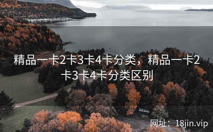 精品一卡2卡3卡4卡分类，精品一卡2卡3卡4卡分类区别