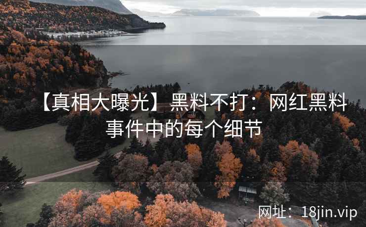 【真相大曝光】黑料不打：网红黑料事件中的每个细节