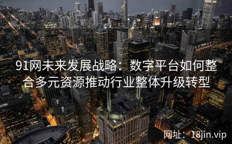 91网未来发展战略：数字平台如何整合多元资源推动行业整体升级转型