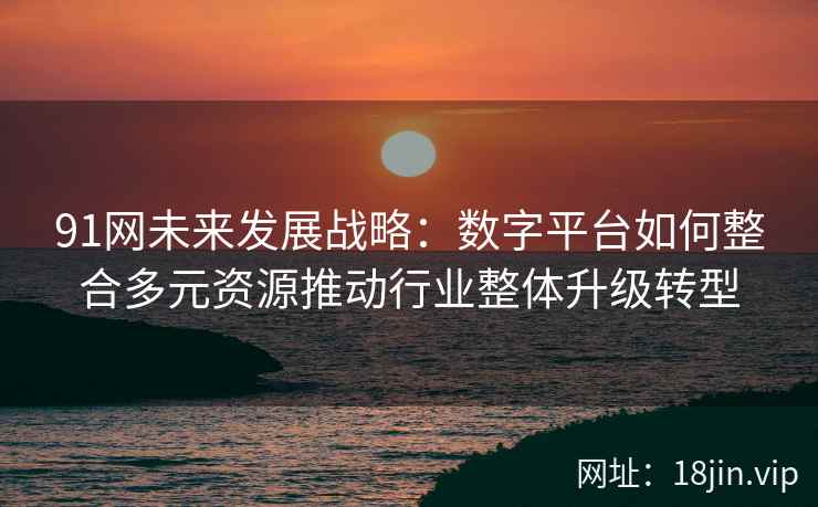 91网未来发展战略：数字平台如何整合多元资源推动行业整体升级转型