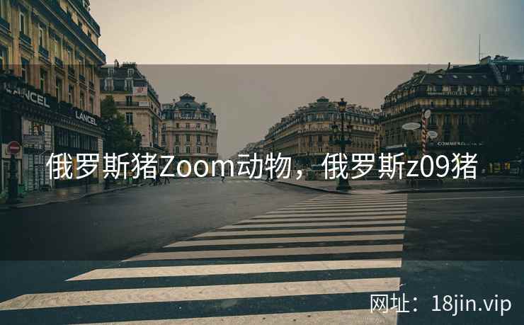 俄罗斯猪Zoom动物，俄罗斯z09猪