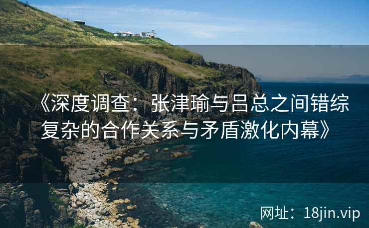 《深度调查：张津瑜与吕总之间错综复杂的合作关系与矛盾激化内幕》